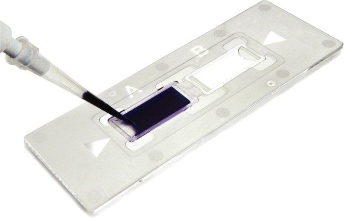 Sony pins cell chip hopes on cellius