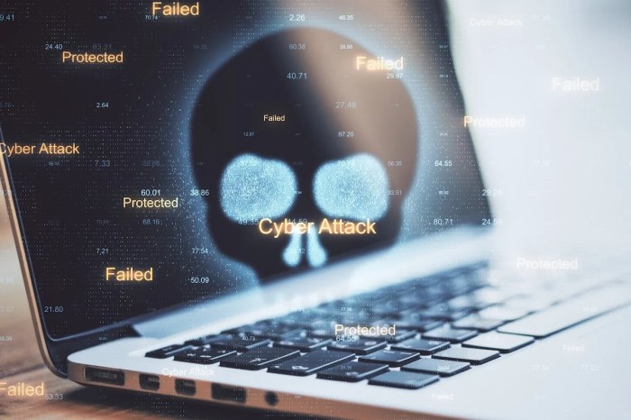 Bold california software pirate arrested