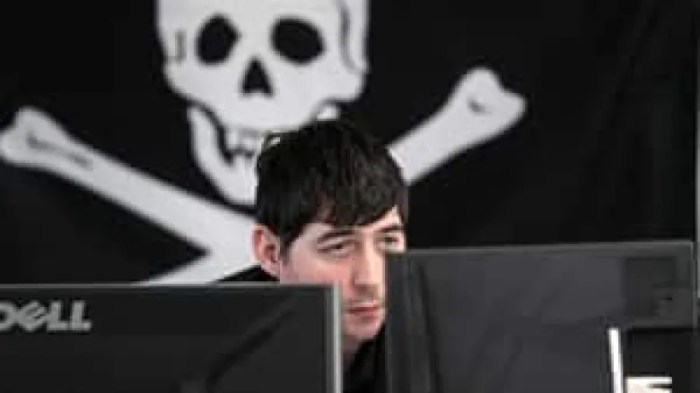 Bold california software pirate arrested