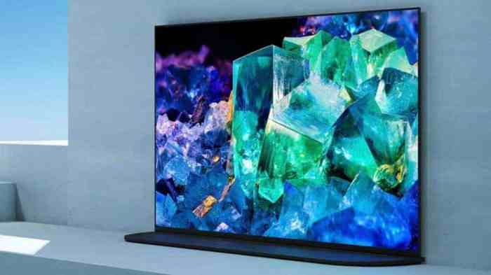 New sony cameras link to hdtvs