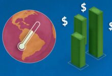 Report world can afford to beat global warming