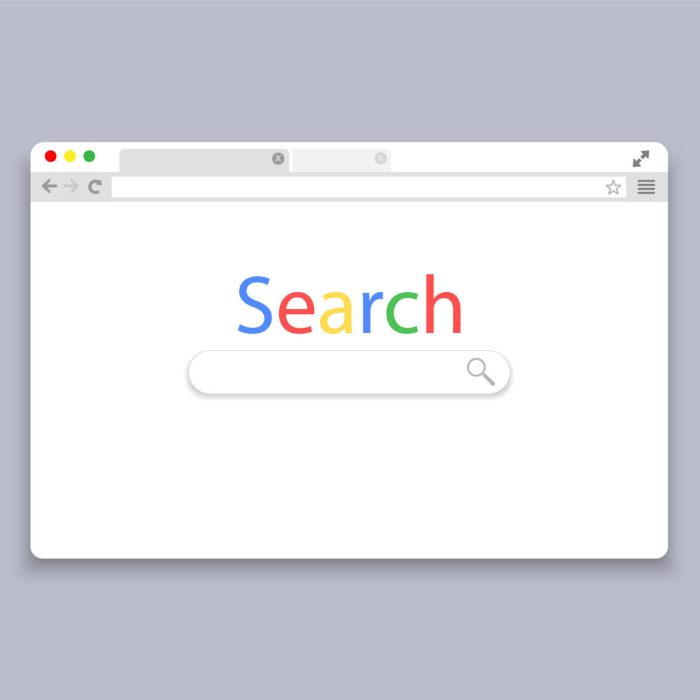Google bulks up mini search gadget