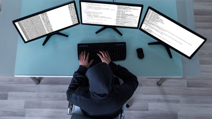 Hackers launch massive attack on internet dns