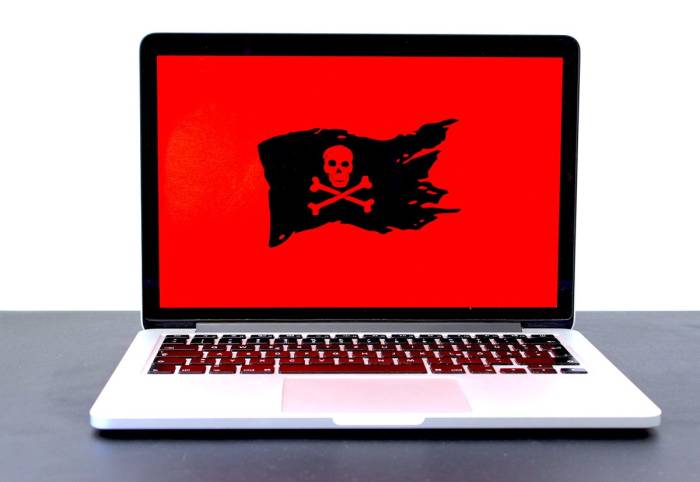 First pocket pc virus poses no threat