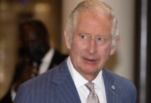 Prince charles attacked for opinions on nanotech