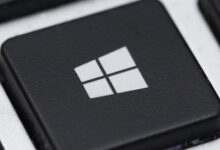 Microsoft offers tools to ease vista transition