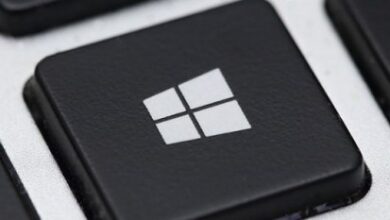 Microsoft offers tools to ease vista transition