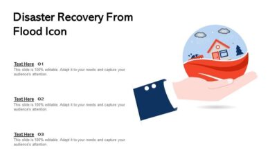 Lesson of hurricane hugo plan recovery