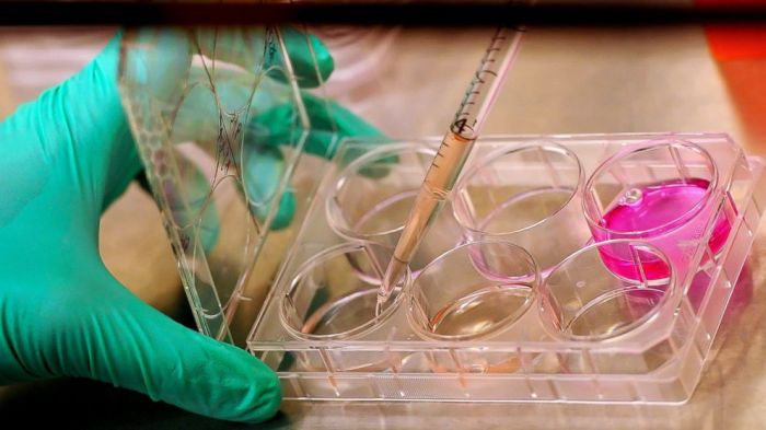Senate votes to loosen stem cell restrictions veto likely
