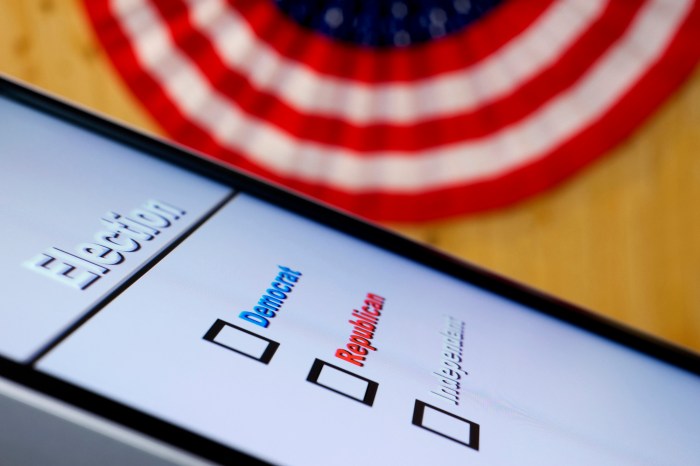 E voting expert and critic urges e vote hacking
