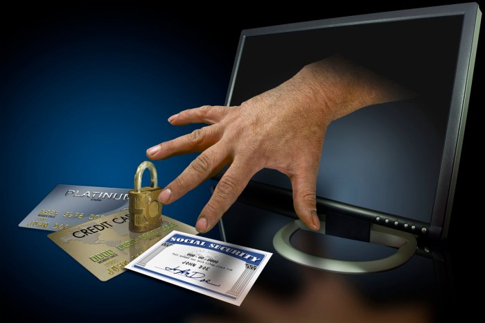 Combating id theft on the internet