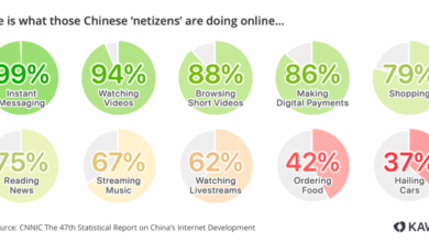 Internet use in china soars