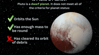 Pluto fails to survive planetary cut