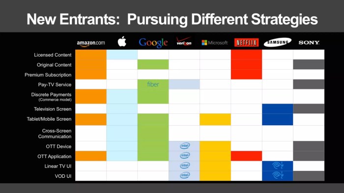 Time shifting whole house dvrs and the future of tv