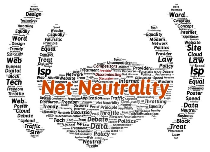 Net neutrality bill saving or strangling the internet