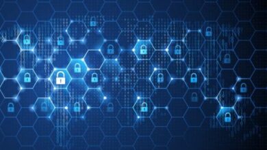 Patrolling network security with nettrooper