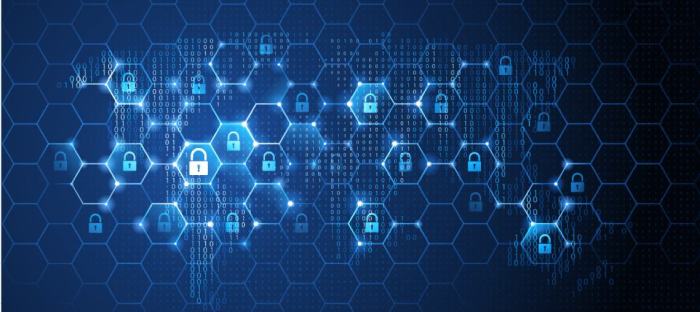 Patrolling network security with nettrooper