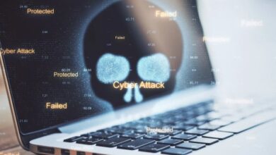 Bold california software pirate arrested