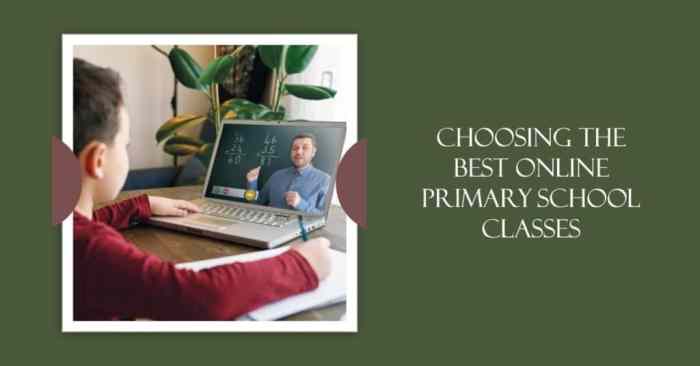 Online classes opening a door to primary education