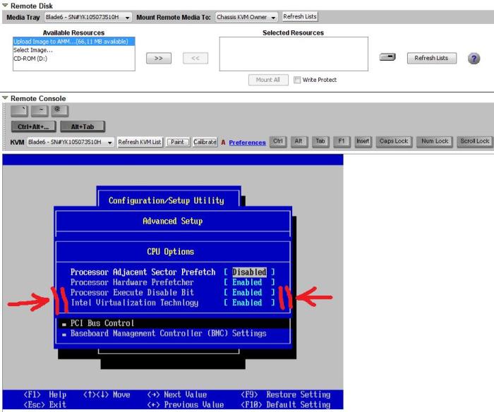 Viridian delay sets back next gen windows virtualization