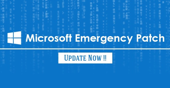 Microsoft issues out of cycle patch for critical ie flaw