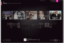Zune failure streaming