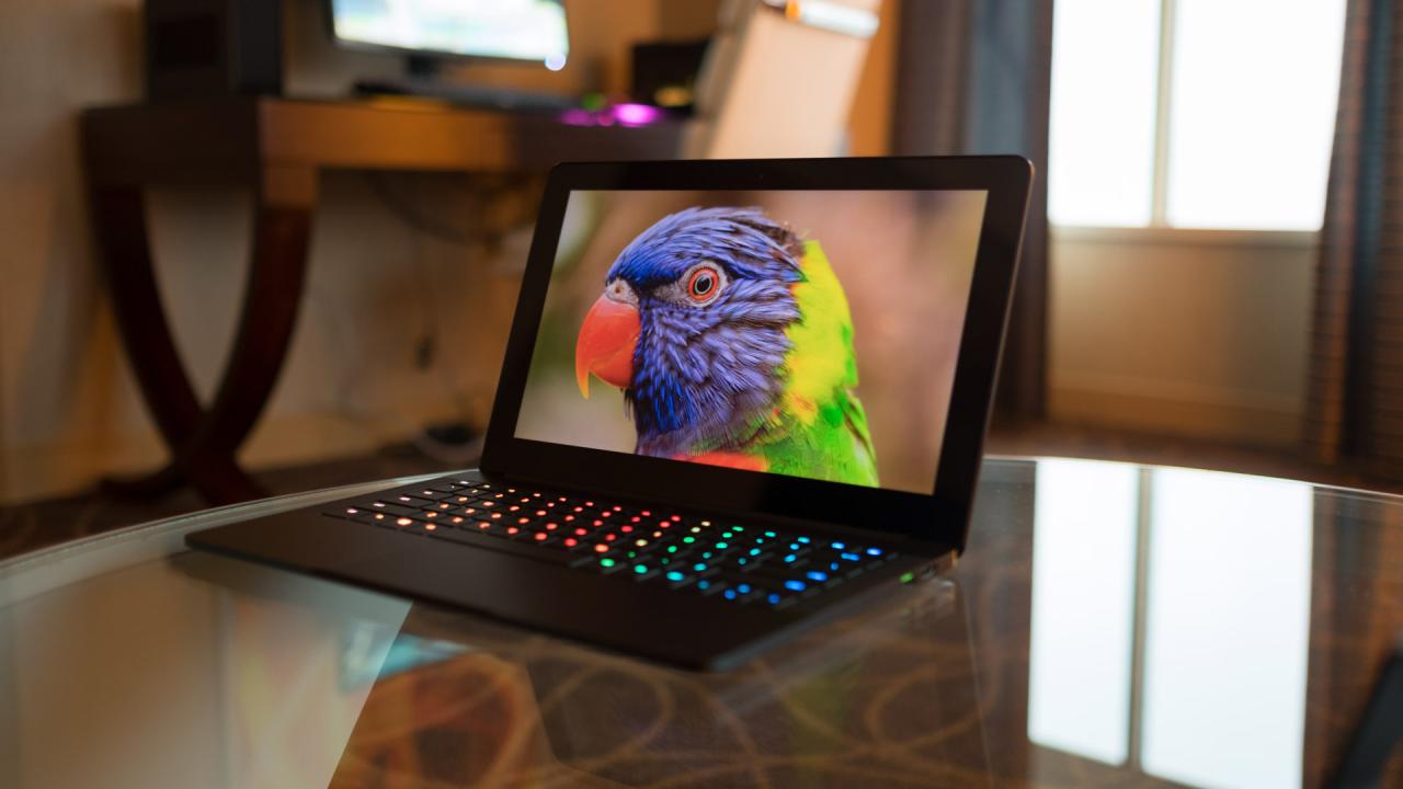 Panasonic pushes pc free computing at ces
