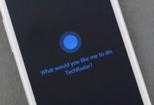 Microsoft vista voice recognition attack no big deal