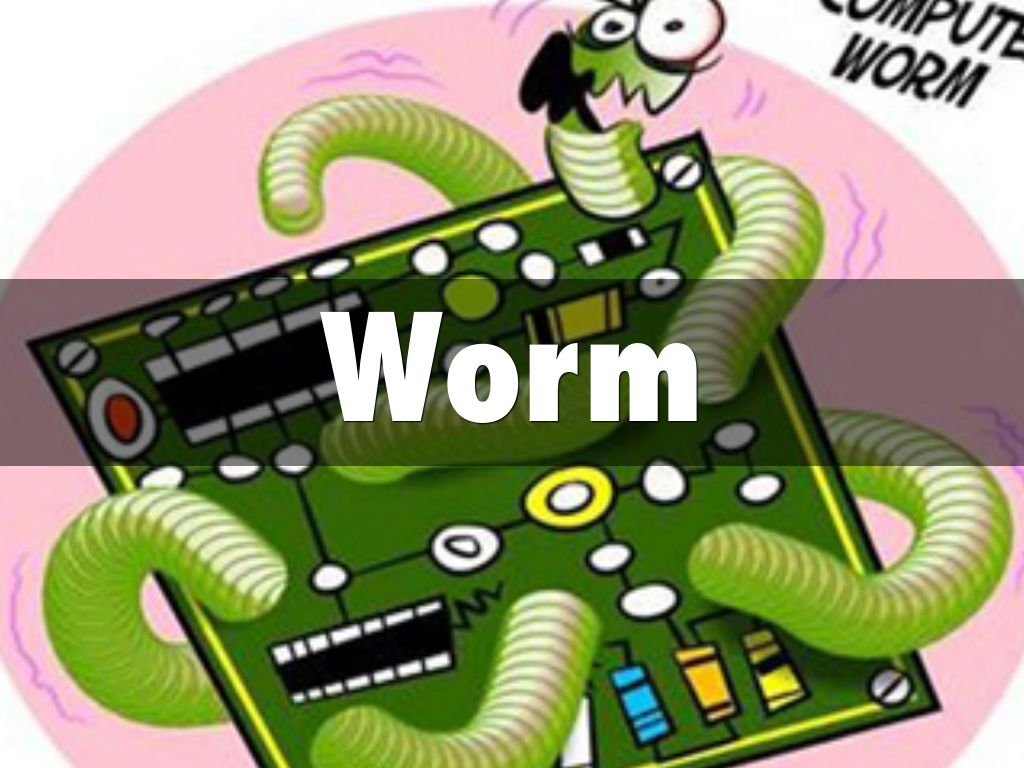 Virus writers battle in war of worms
