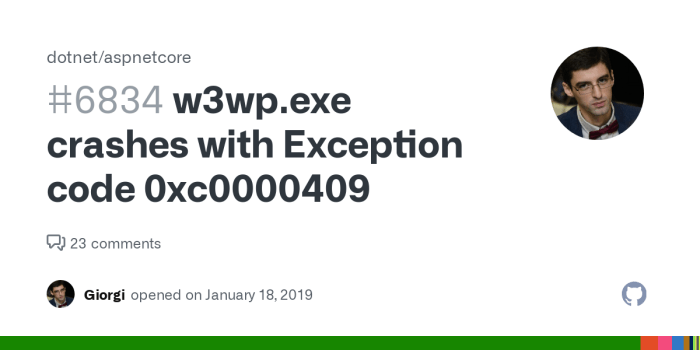 W3wp.exe crashes with Exception code 0xc0000409 · Issue #6834 · dotnet ... Microsofts wmf headaches continue