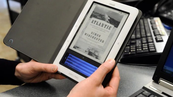 Libredigital debuts online book search service