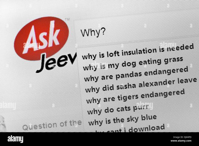 Ask jeeves launches image search technology moves into germany