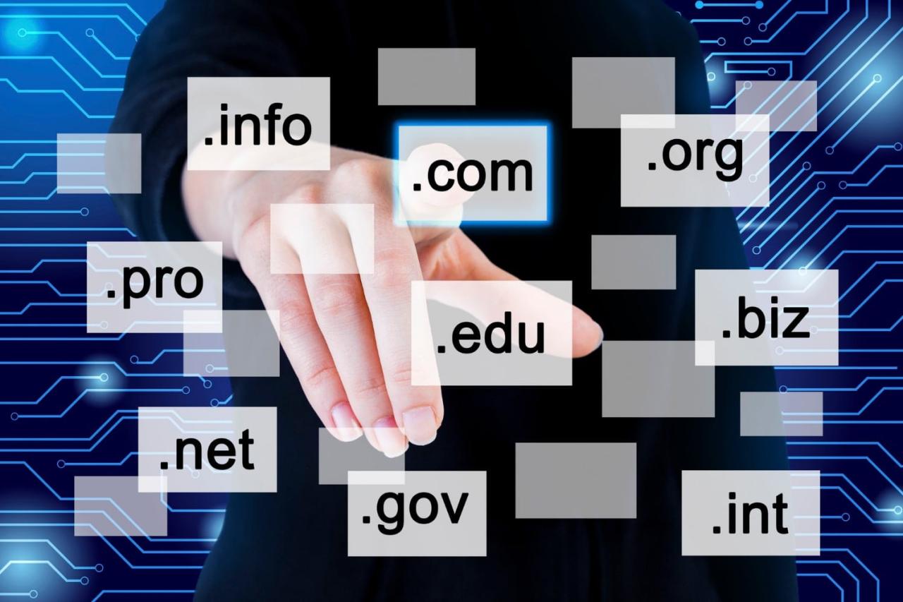 Domain name disputes past present future