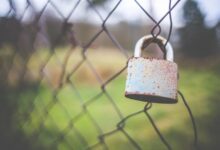 Vista a false sense of security