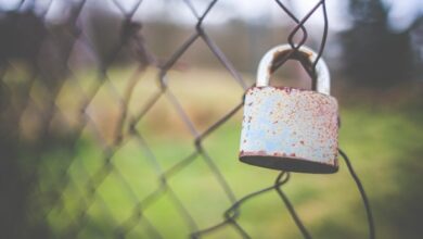 Vista a false sense of security