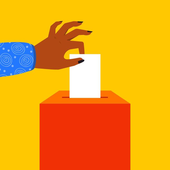 Voting electronic software system digital emirates Dont strangle e voting with paper