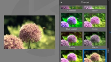 Software puts film like effects into digital photos