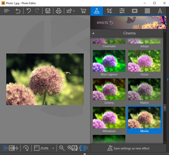 Software puts film like effects into digital photos