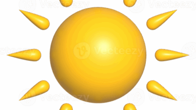 3 d images to illuminate suns secrets