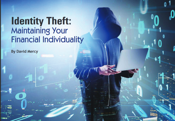 Combating id theft on the internet
