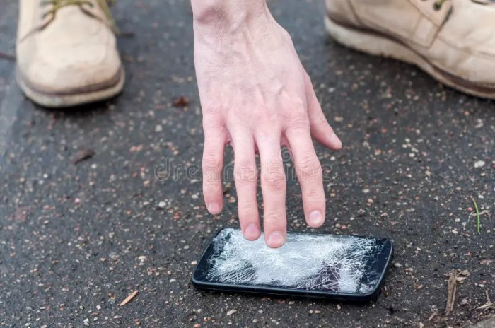Service causes handset to screech when stolen