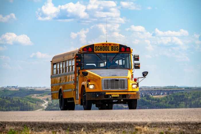Digital divide separates rural urban internet users