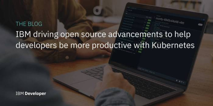 Ibm donates privacy code to open source project