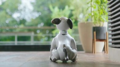 Sony scraps aibo other home robots
