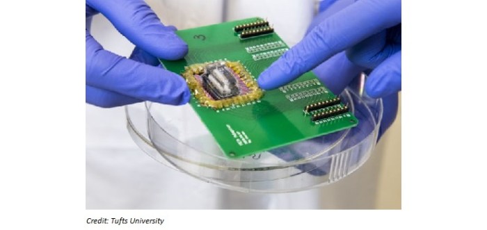 Hp researchers give chips a nano spin