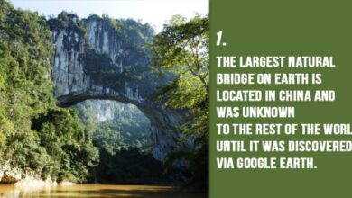 Google earth adds discovery videos