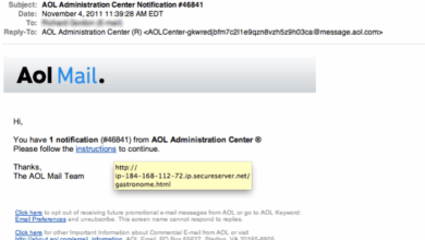 Scheme spam nabbed aol pair thesmokinggun