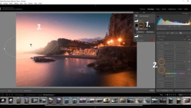 Adobe takes training wheels off lightroom 1 0