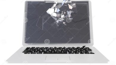 Pc guardian putting the clampdown on laptops