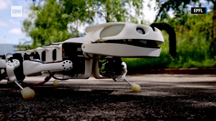 Salamander robot spinal uses cord move swimming quickly switch walking between can